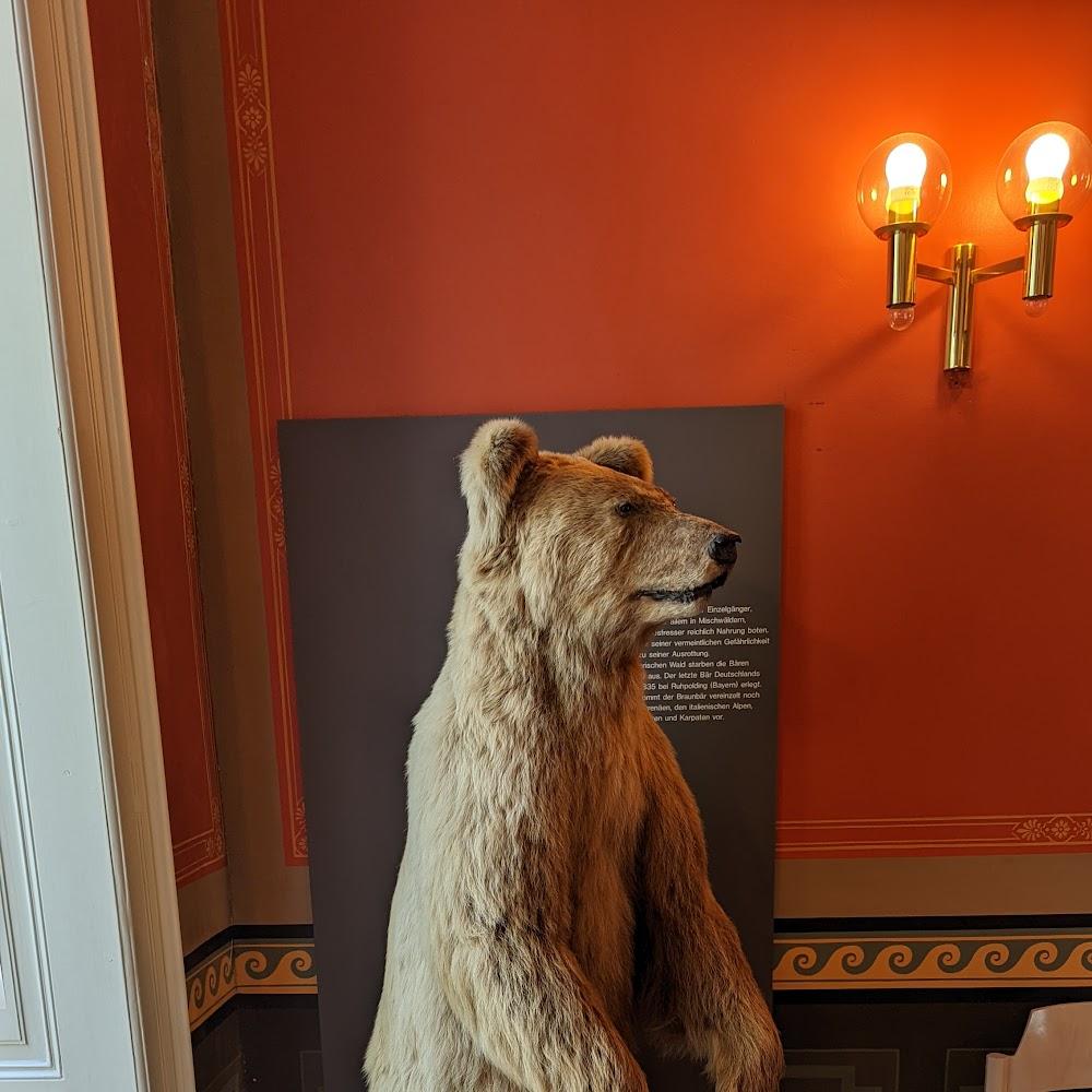 A stuffed brown bear standing in a room.